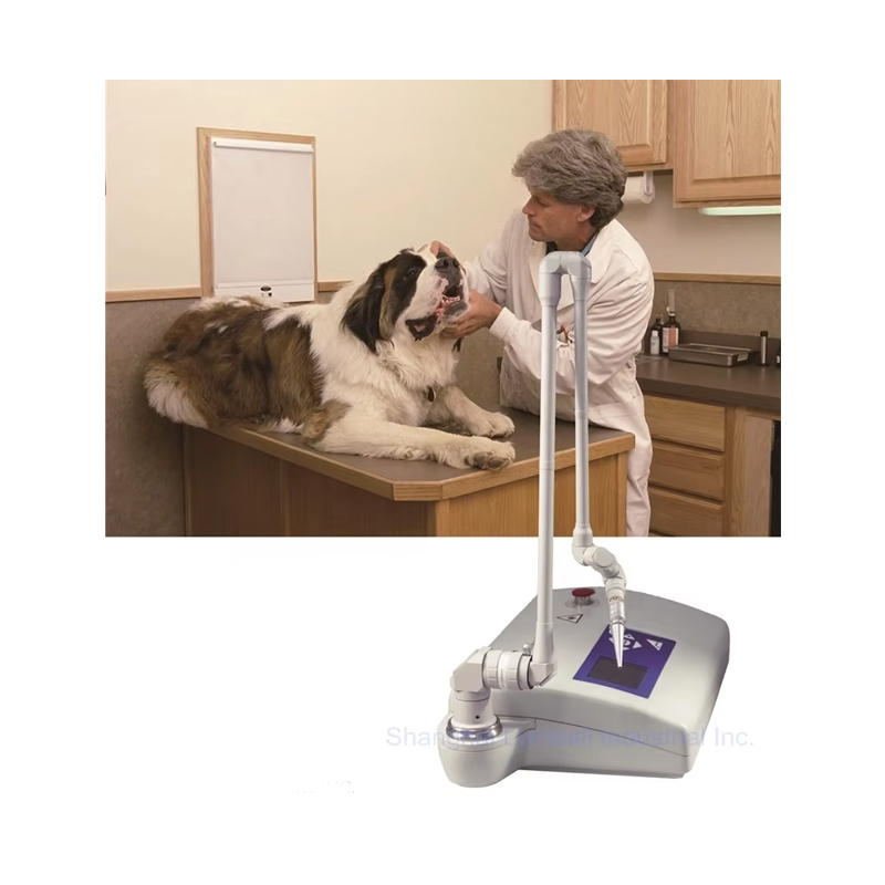 Co2 Fractional Laser Machine Clinic - Przenośna, 15-watowa, chirurgiczna maszyna laserowa CO2,