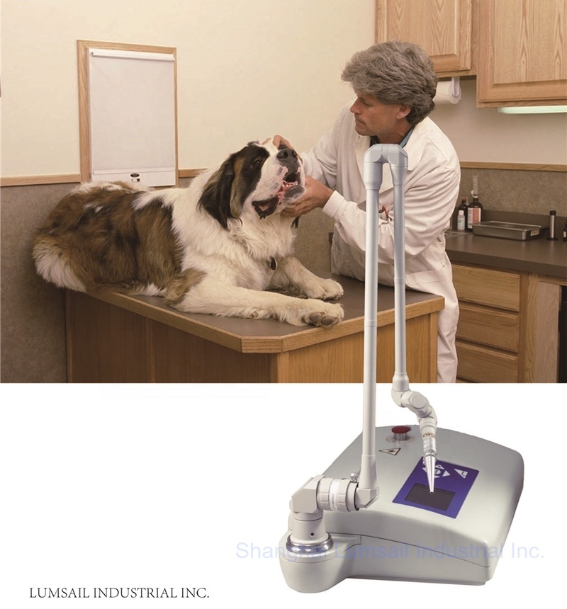 Przenośna, 15-watowa, chirurgi – Co2 Fractional Laser Machine Clinic recenzja i cena